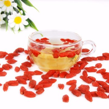 china ningxia goji berry slimming diet berry